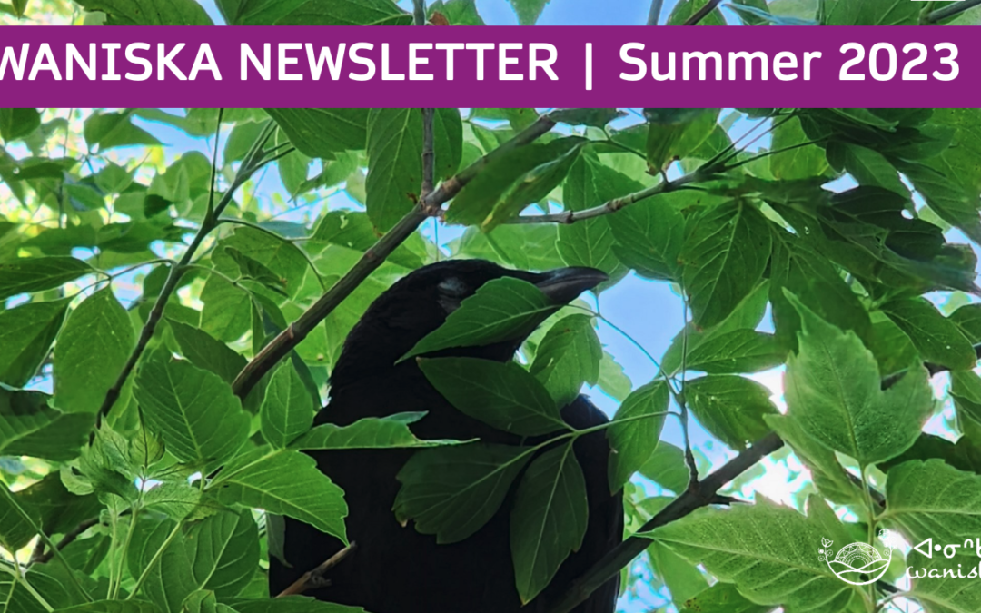 Our Latest Newsletter: Summer 2023