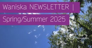 Summer image