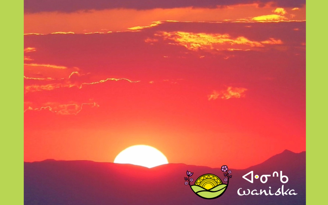 Waniska’s research grant funding renewed